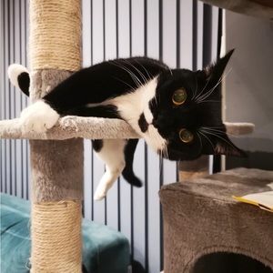 Meet your Posher, Frances